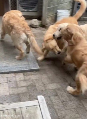 兄さん・お姉さんに！！