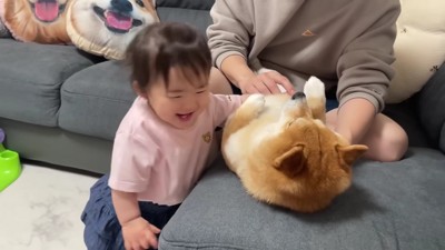 今度はうにくん