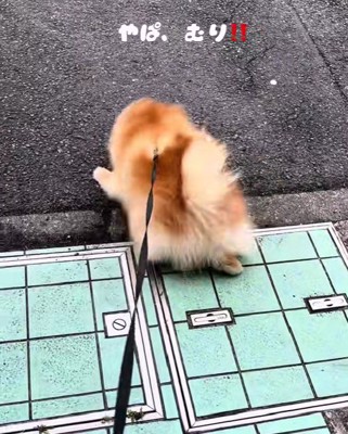 全力で逃亡を試みるも…