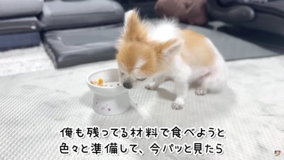 食事を与えていたら…