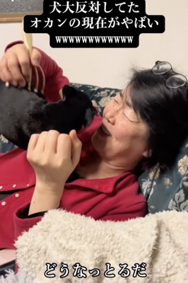 落ち着きのないちくわちゃん