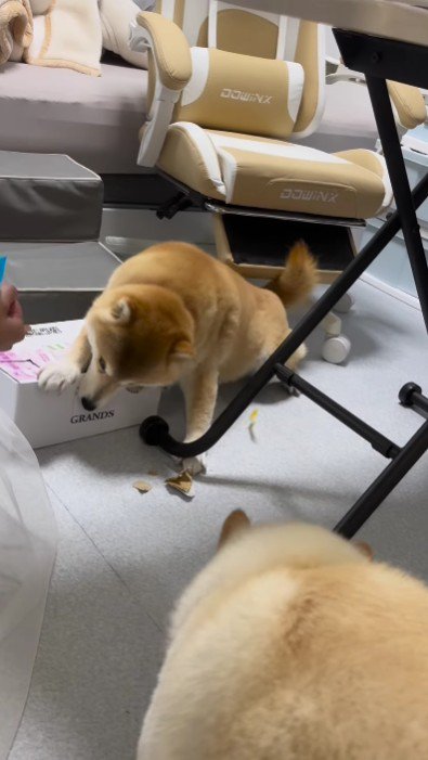 宣戦布告の合図！？