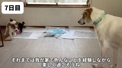 幸せが訪れますように!