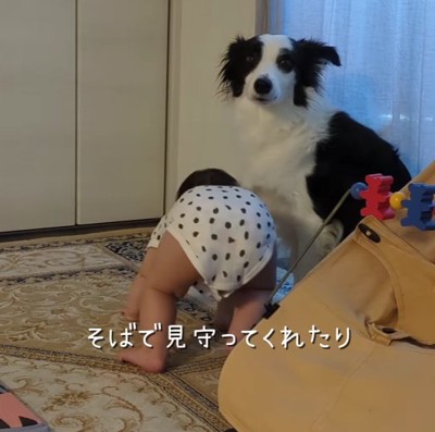 立ち上がろうとする赤ちゃんと正面を見る犬