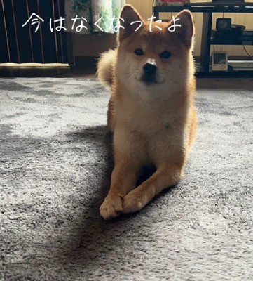 今は元に戻ったそう