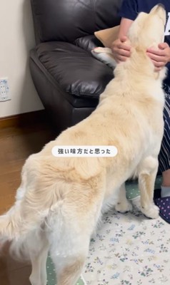 小町ちゃんと実家に帰省⑩