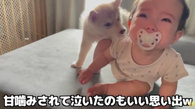 娘さんが泣いてしまうことも