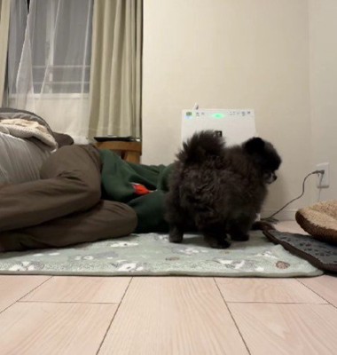 いつでもそばにくっついている