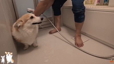 体を洗い始めると…