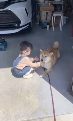 「近寄り禁止令」発令中