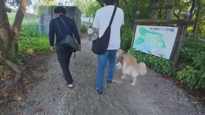 みんなでお散歩へ