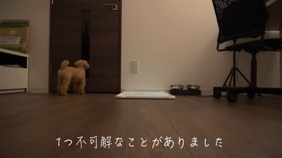 引っ越してきたときのこと