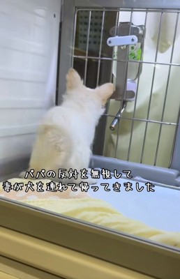 後ろ姿のソラくん