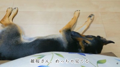 「ママももう寝るの？」