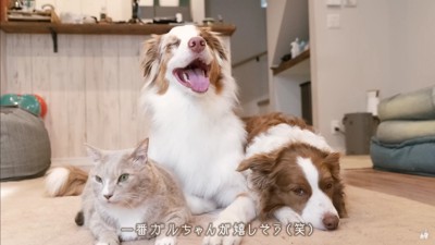 とても楽しいひとときだったね♪