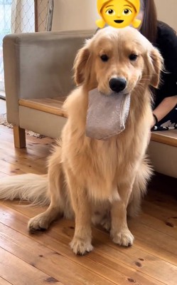 ポーチを咥えるそなくん