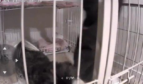 やっぱり狭かった…