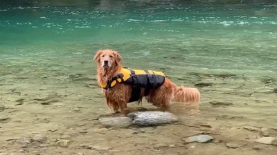川から上がる気ゼロ！