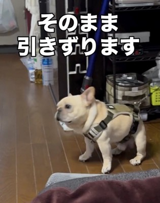 絶望的な表情のロンくん
