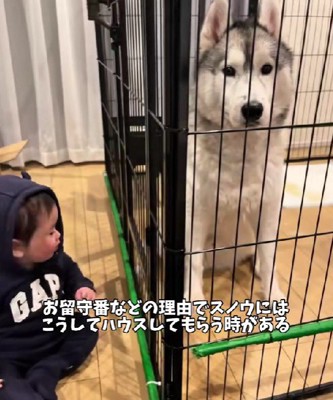 ハウスしていると…