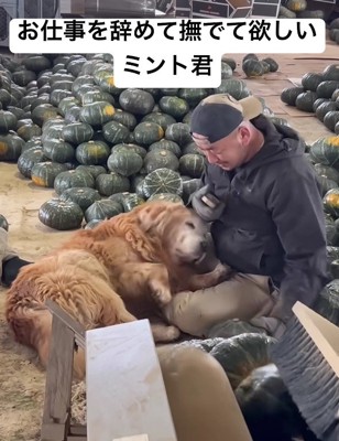 可愛い姿にキュン♡