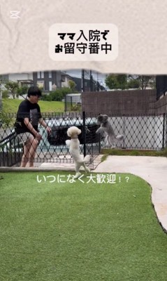 レオくんとサラちゃんの熱烈歓迎3