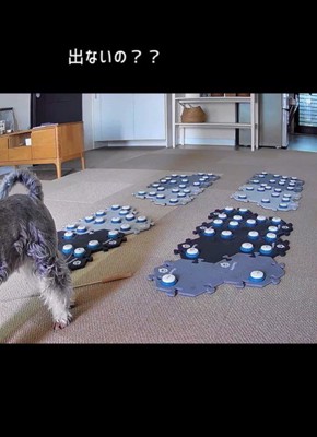 フーフーくんを気遣うモネちゃん8