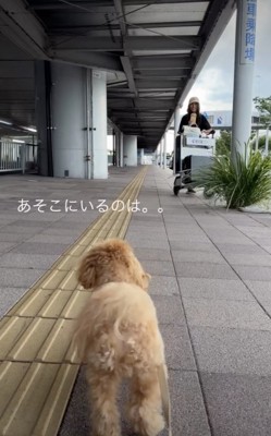 「おねーたんなの…?」