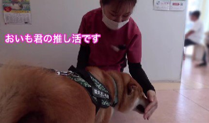 すっかり元気になっちゃった!?