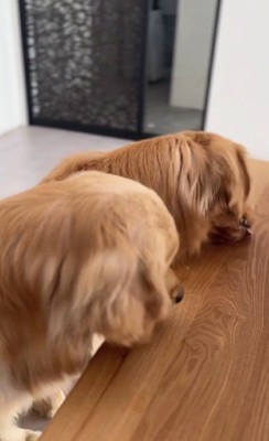 だいぶ差が付いた…！