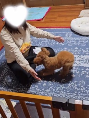 座って腕を広げる飼い主
