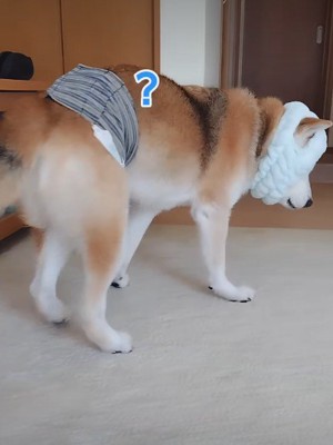 「??」