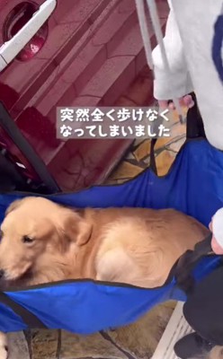 突然立てなくなった…