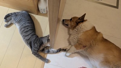 仲良し