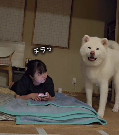 チラリと伺ってみると…