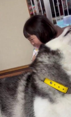 ゼレンちゃんはゴロンと仰向けに