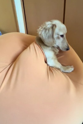 眠たくなってきた