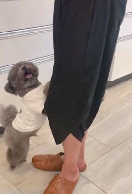 必死で止めるアイナちゃん