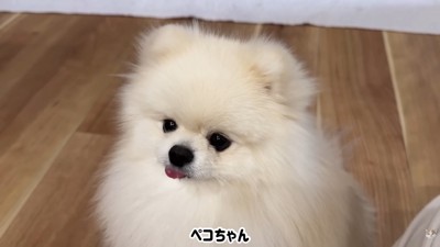 「もっと食べたい！」