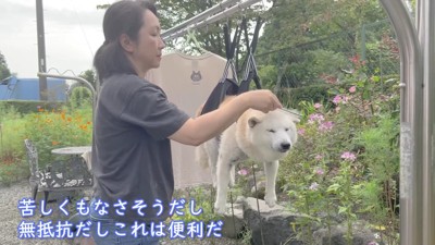 短時間で乾かせて…