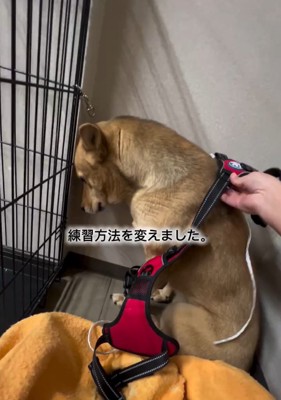練習方法を変えた投稿者さん