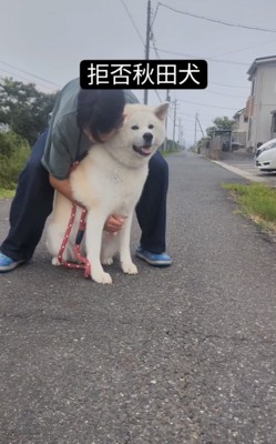 犬を抱っこしようとする男の子