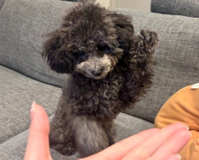 まさかの勘違い