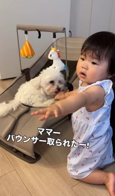 あさりちゃんと赤ちゃん6