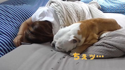 お母さんの隣に寝る犬