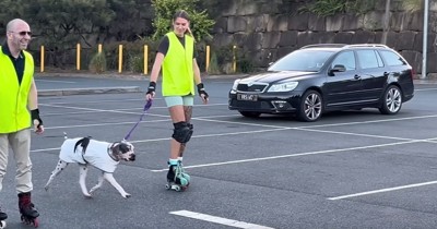 ローラースケートの女性と犬