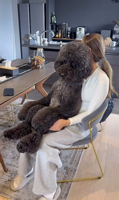 テレビを見るCOCOちゃん