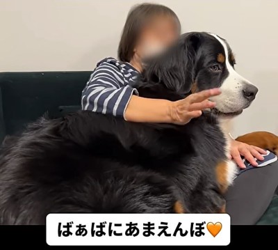 犬をトントンする女性