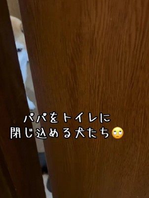 トイレから出ようとしたら…