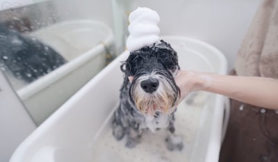 モッコモコの泡！